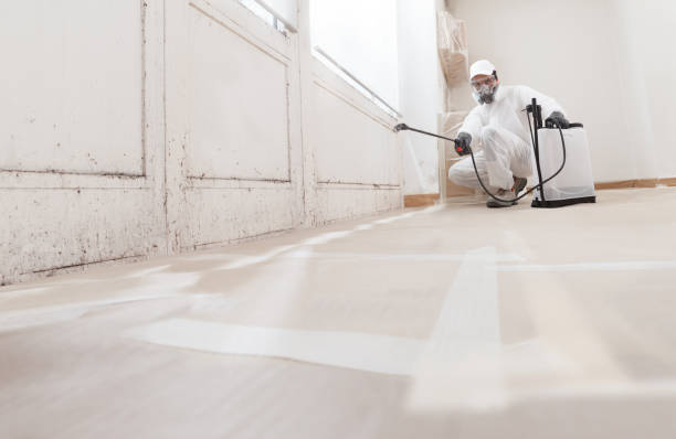 24/7 Emergency Attic Mold Remediation experts in Princeton Junction, NJ
